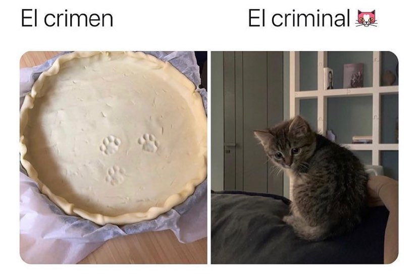 El crimen. El criminal.