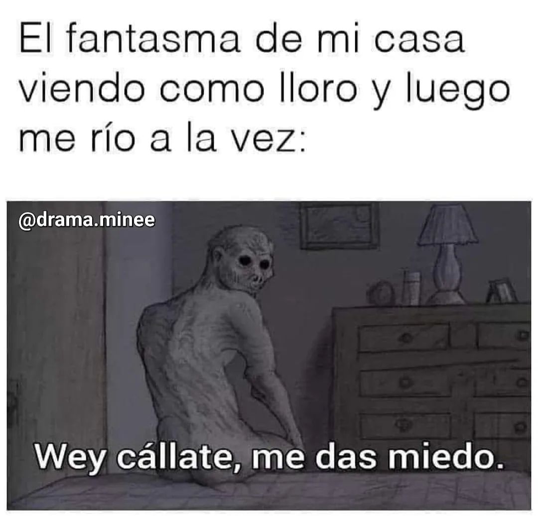 El fantasma de mi casa viendo como lloro y luego me río a la vez: Wey cállate, me das miedo.