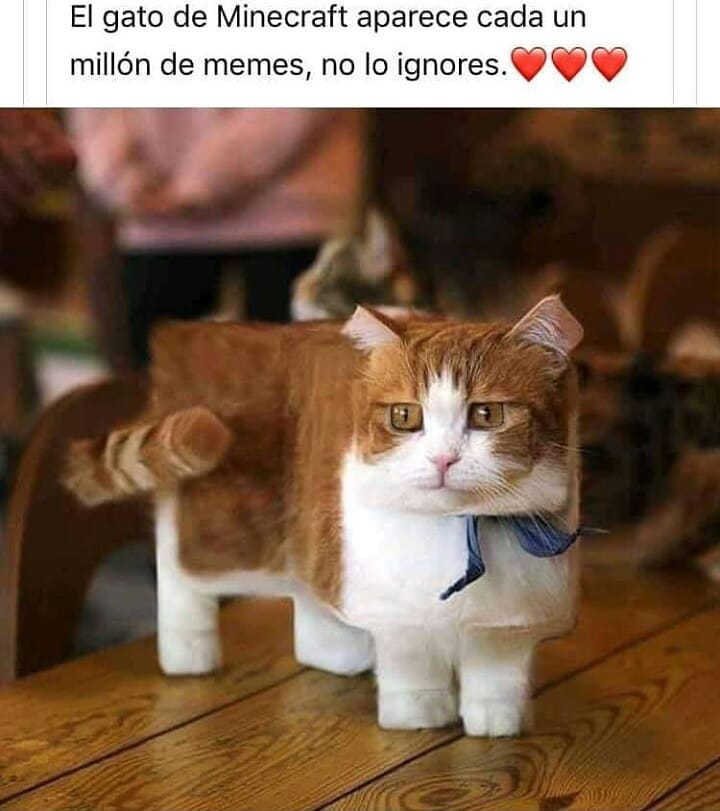 El gato de Minecraft aparece cada un millón de memes, no lo ignores.