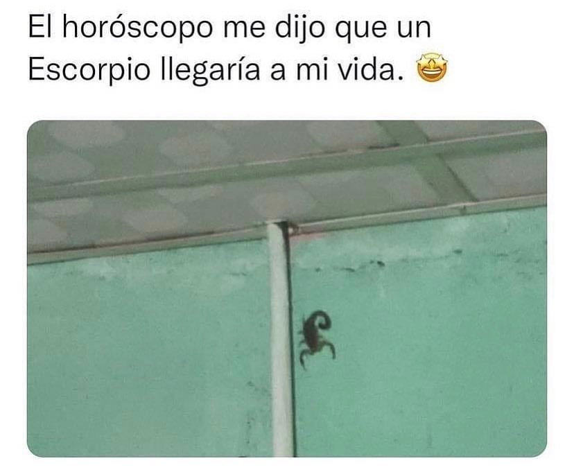 El horóscopo me dijo que un Escorpio llegaría a mi vida.