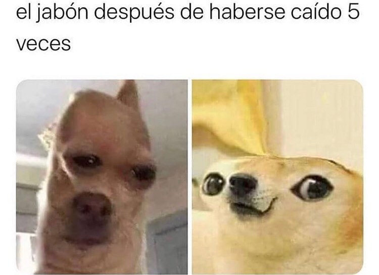 El jabón después de haberse caído 5 veces.