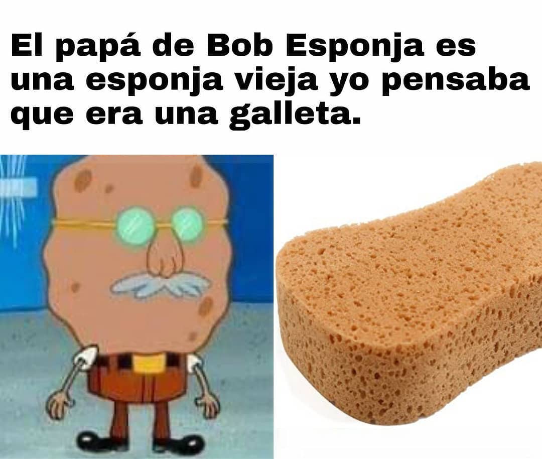 El papá de Bob Esponja es una esponja vieja yo pensaba que era una galleta.
