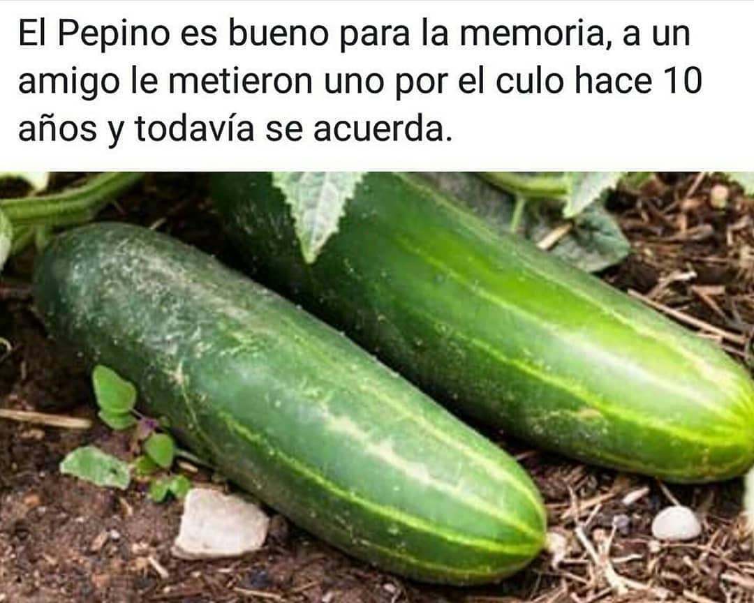 El pepino es bueno para la memoria, a un amigo le metieron uno por el culo hace 10 años y todavía se acuerda.