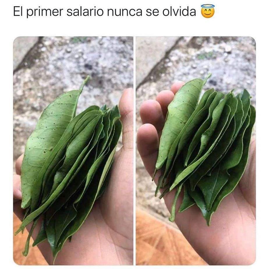 El primer salario nunca se olvida.