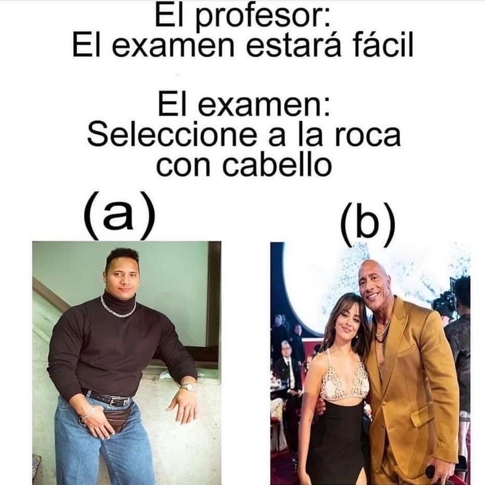 El profesor: El examen estará fácil. El examen: Seleccione a la roca con cabello. (a) (b).