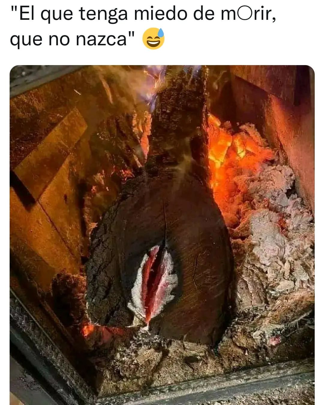 El Que Tenga Miedo De Morir Que No Nazca Memes