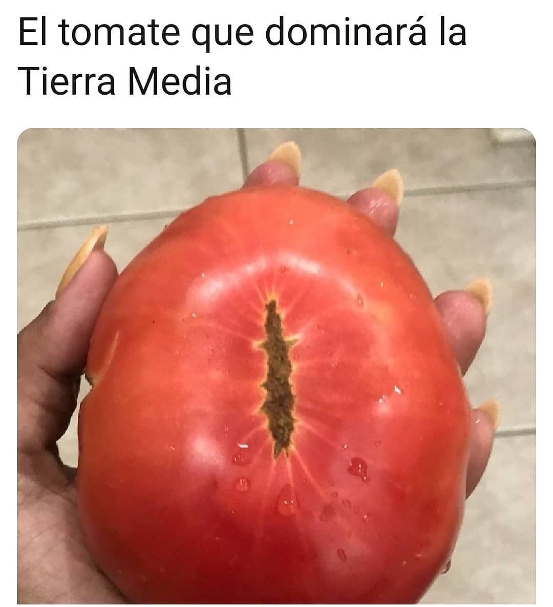 El tomate que dominará la Tierra Media.