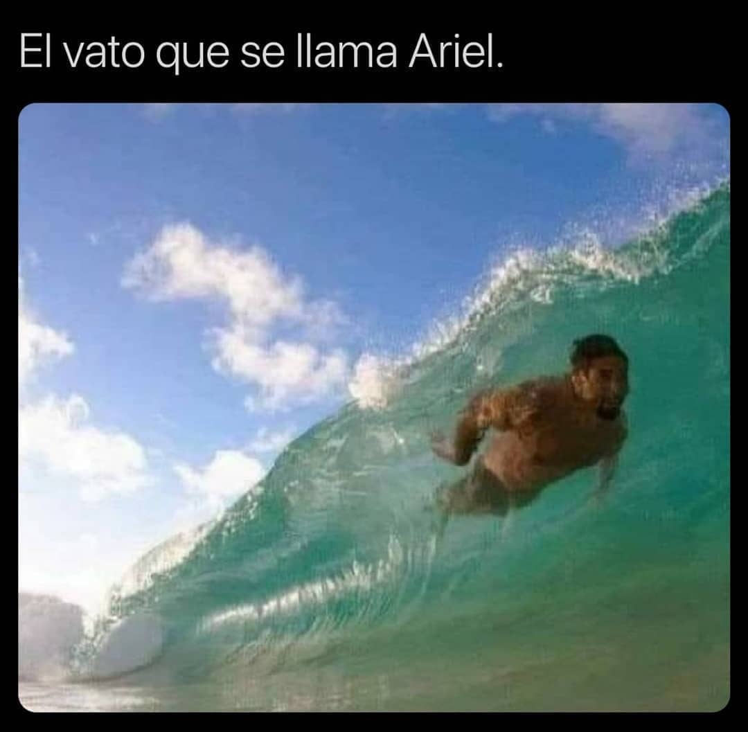 El vato que se llama Ariel.