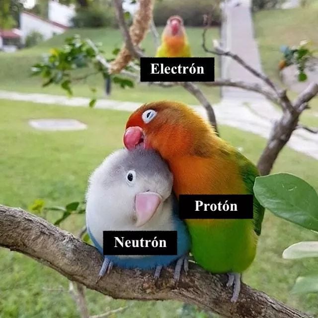 Electrón. Protón. Neutrón.