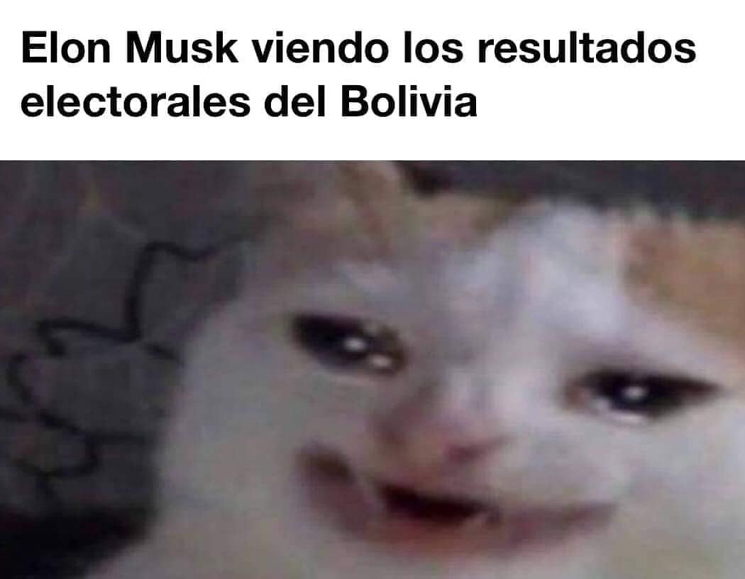 Elon Musk viendo los resultados electorales del Bolivia.