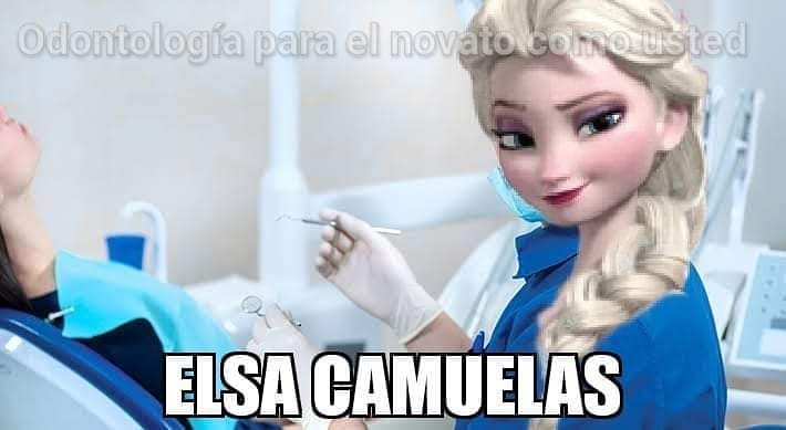 Elsa camuelas.