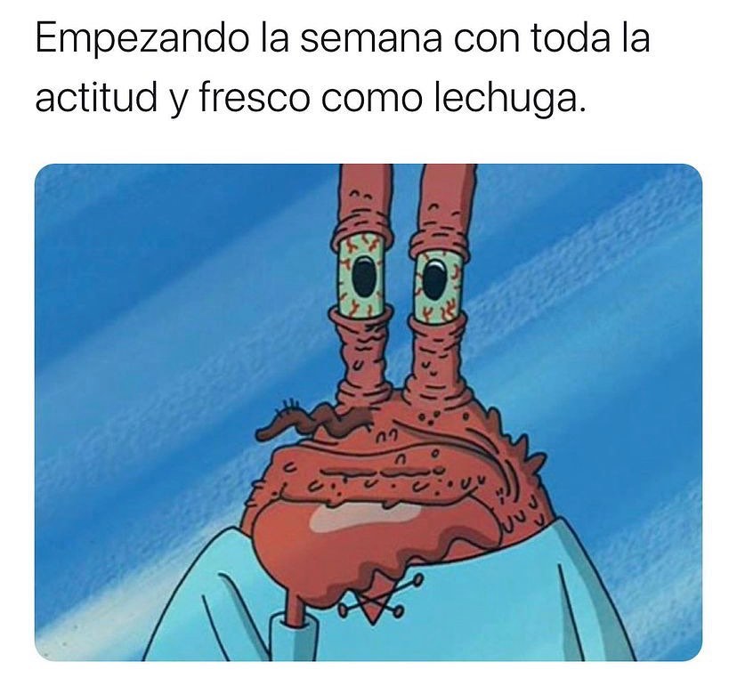 Empezando la semana con toda la actitud y fresco como lechuga.