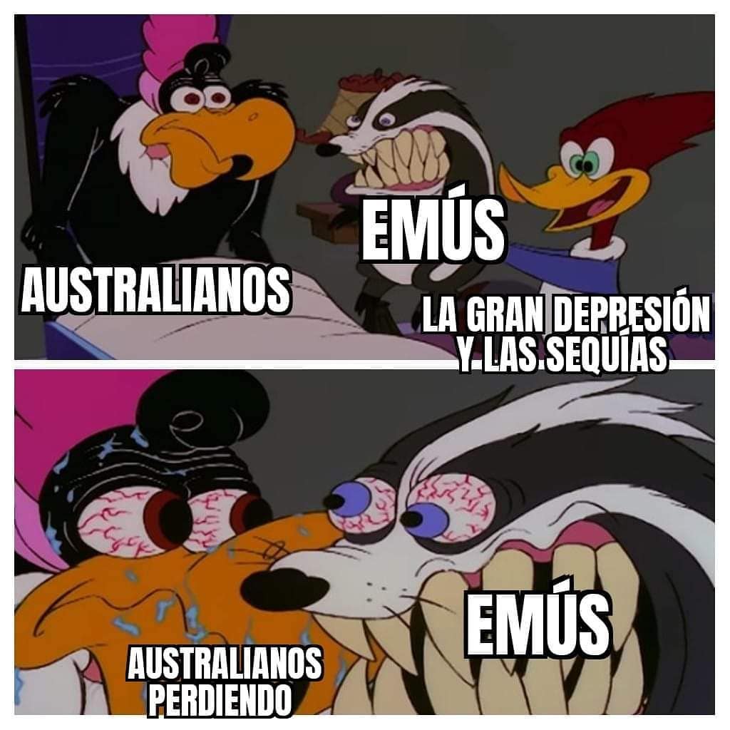 Emus. Australianos. La gran depresión y las sequías. Australianos perdiendo. Emús.