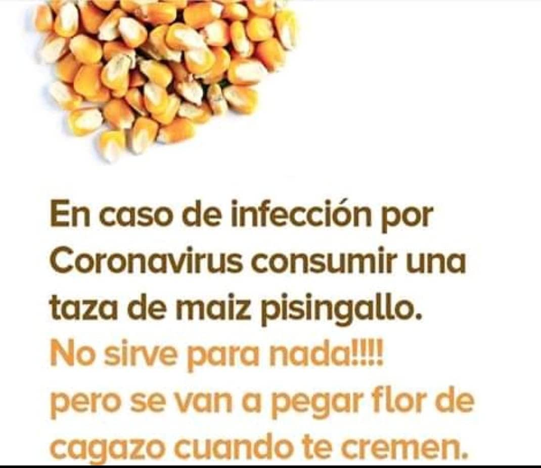 En caso de infección por Coronavirus consumir una taza de maíz pisingallo.  No sirve para nada!!!! pero se van a pegar flor de cagazo cuando te cremen.