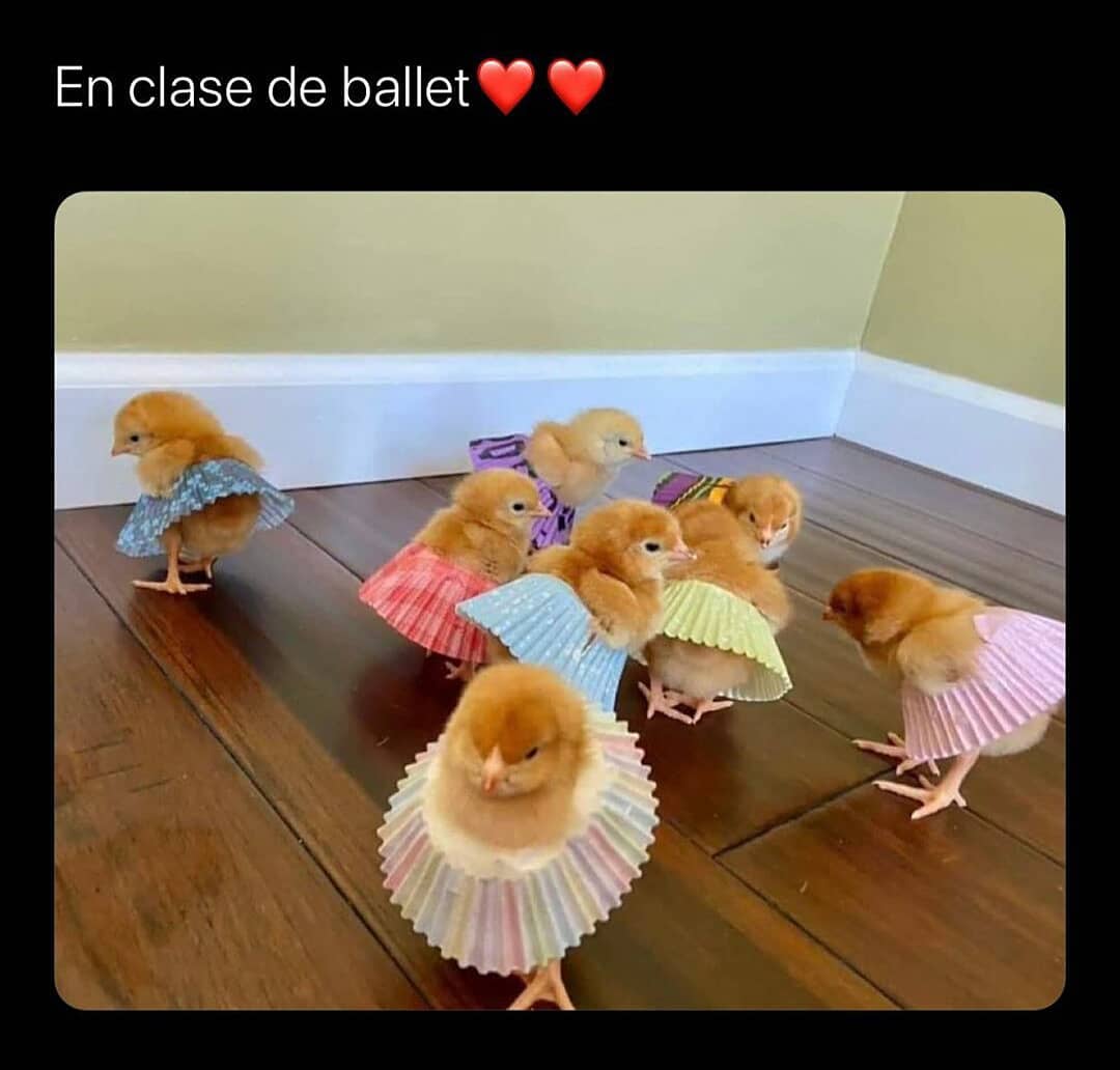 En clase de ballet.