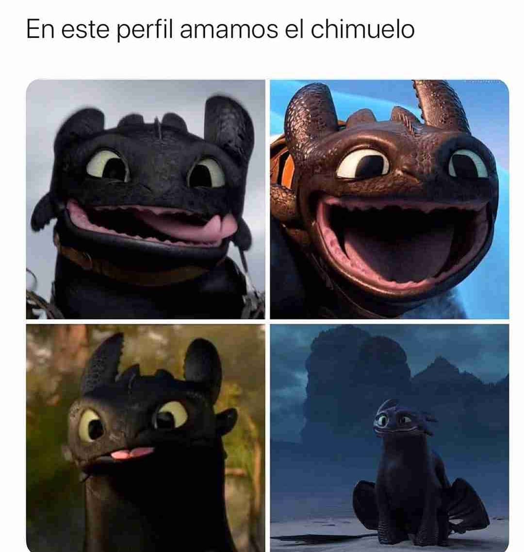 En este perfil amamos el chimuelo.