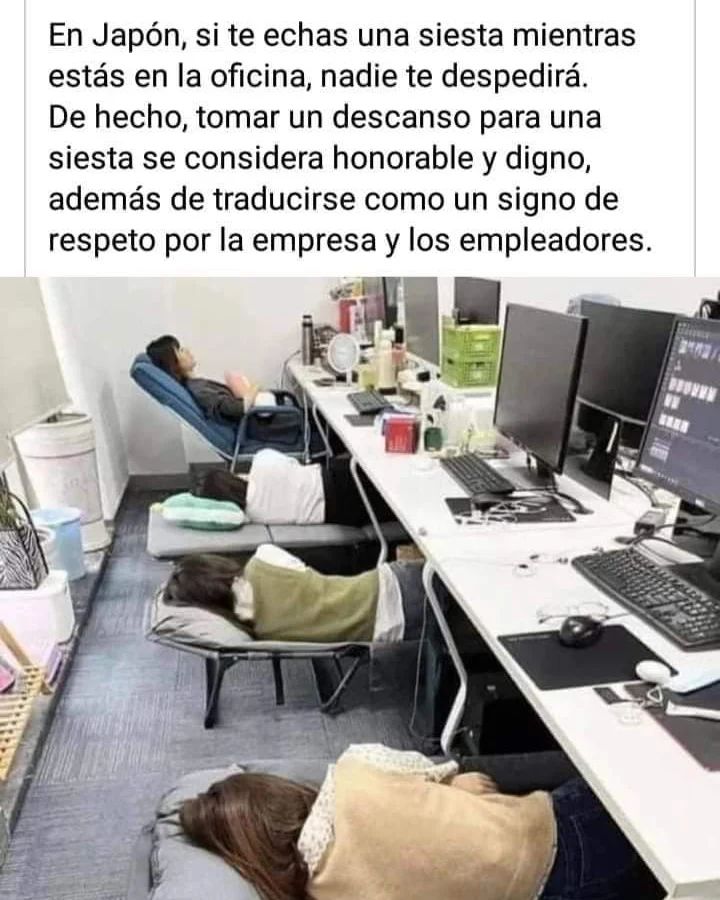 En Japón, si te echas una siesta mientras estás en la oficina, nadie te despedirá. De hecho, tomar un descanso para una siesta se considera honorable y digno, además de traducirse como un signo de respeto por la empresa y los empleadores.