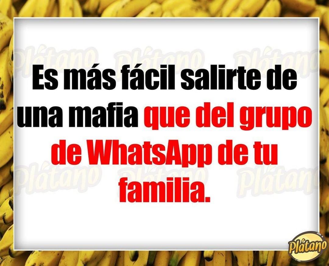 Es más fácil salirte de una mafia que del grupo de WhatsApp de tu familia.