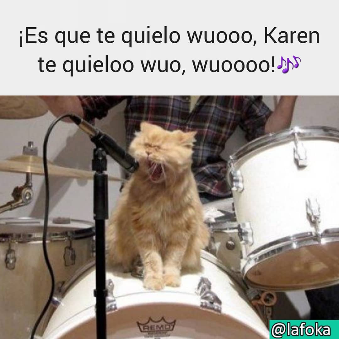 ¡Es que te quielo wuooo, Karen te quieloo wuo, wuoooo!