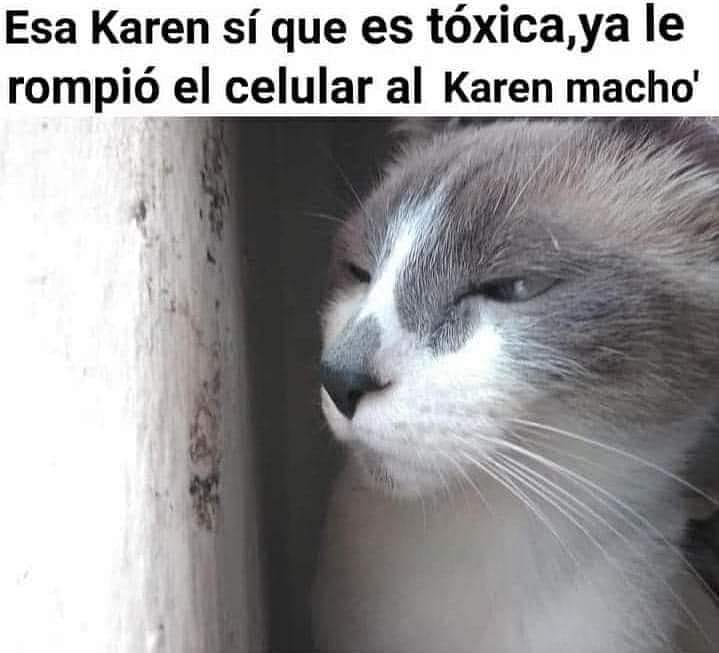 Esa Karen sí que es tóxica, ya le rompió el celular al Karen macho.