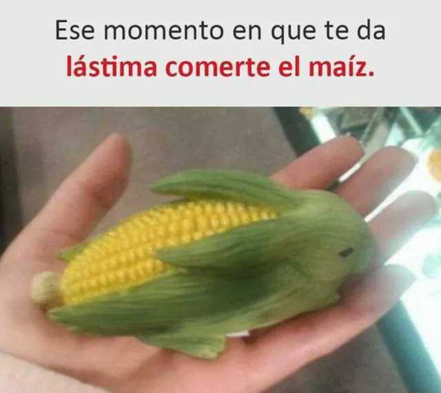 Ese momento en que te da lástima comerte el maíz.