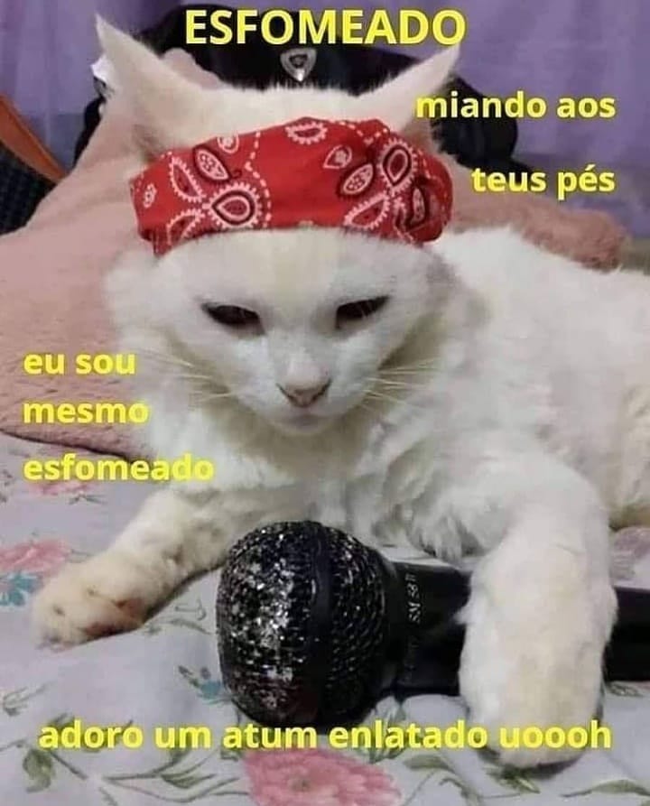 esfomeado miando aos teus pés eu sou mesmo esfomeado adoro um atum