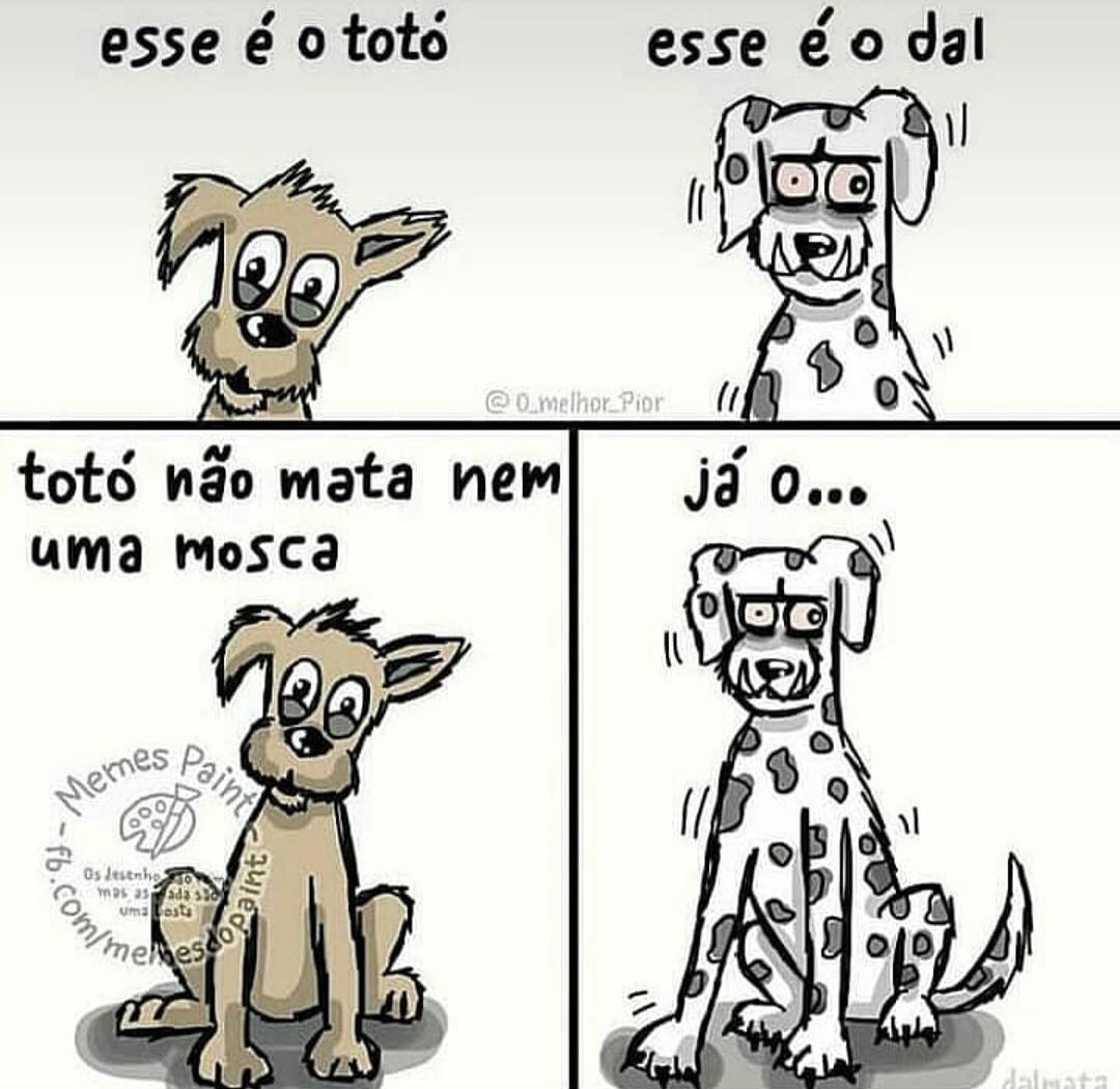 Esse é o totó. Esse é o dal. Totó não mata nem uma mosca. Já o...