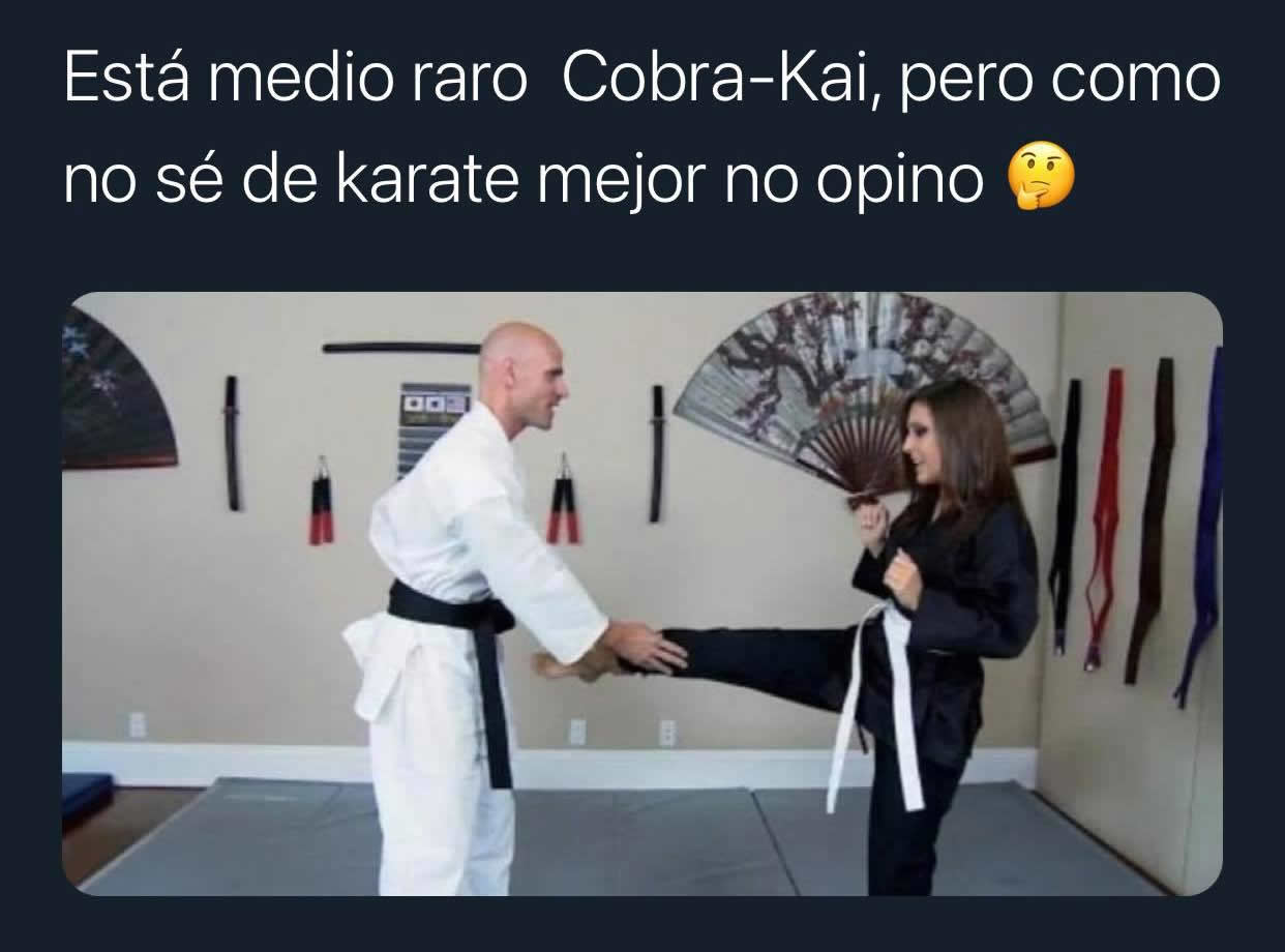 Está medio raro Cobra-Kai, pero como no sé de karate mejor no opino.