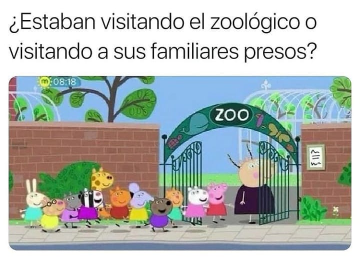 ¿Estaban visitando el zoológico o visitando a sus familiares presos?