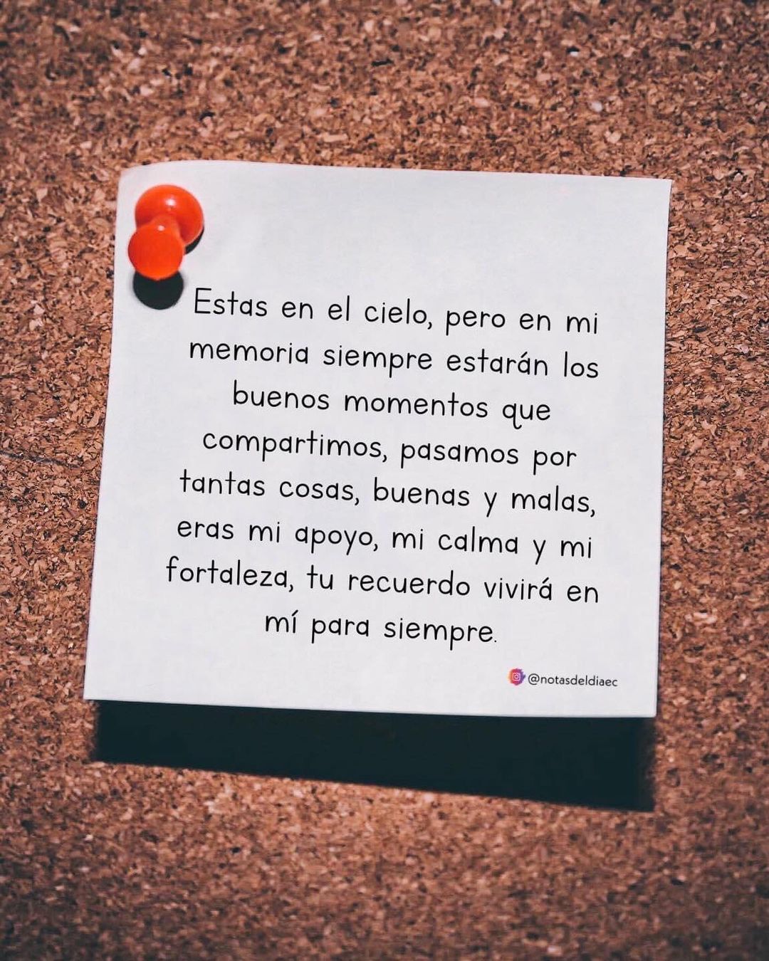 Estás en el cielo, pero en mi memoria siempre estarán los buenos momentos que compartimos, pasamos por tantas cosas, buenas y malas, eras mi apoyo, mi calma y mi fortaleza, tu recuerdo vivirá en mí para siempre.