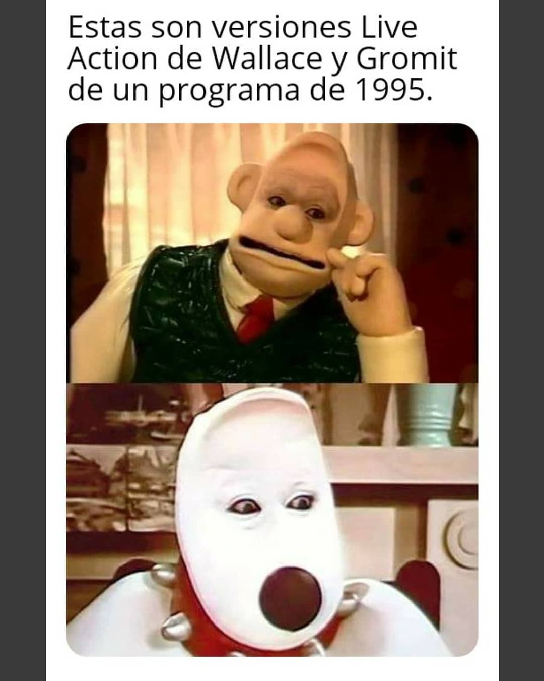 Estas son versiones Live Action de Wallace y Gromit de un programa de 1995.