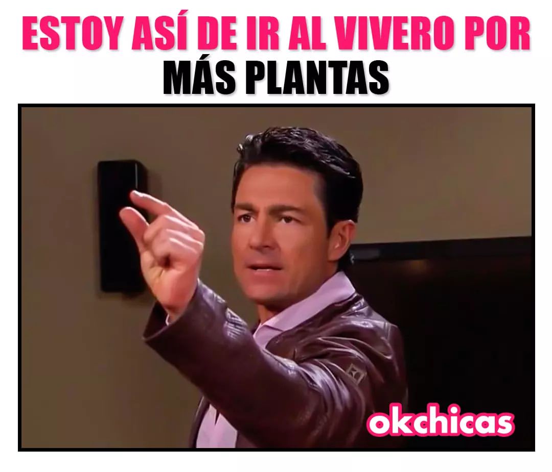 Estoy así de ir al vivero por más plantas.