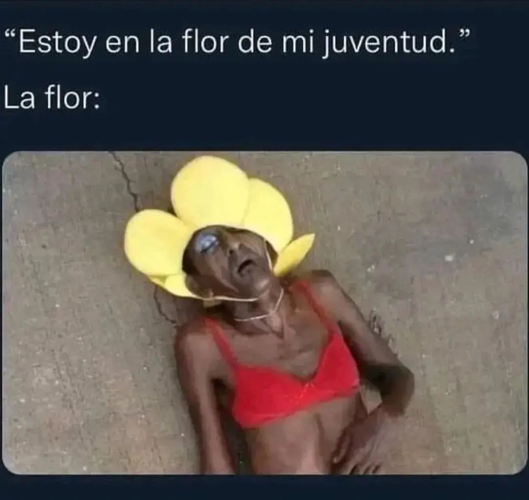 "Estoy en la flor de mi juventud."  La flor: