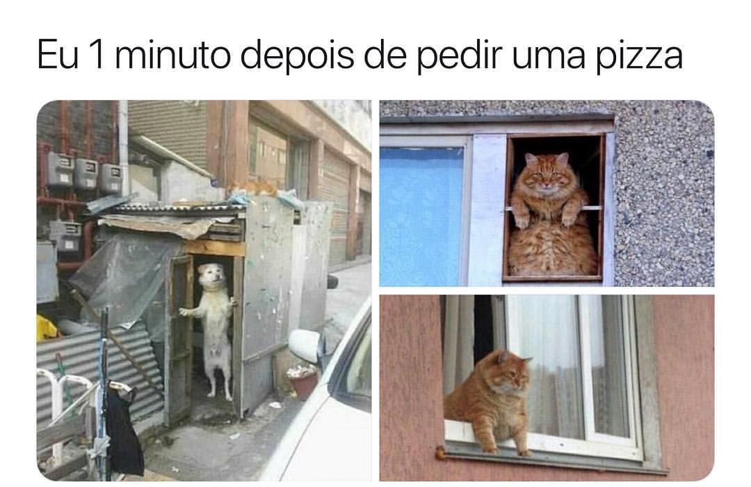 Eu 1 minuto depois de pedir uma pizza.