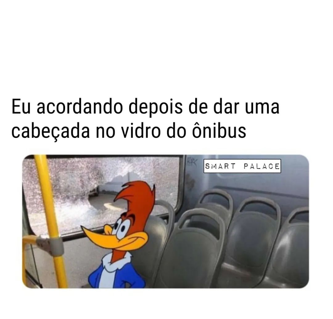 Eu acordando depois de dar uma cabeçada no vidro do ônibus.