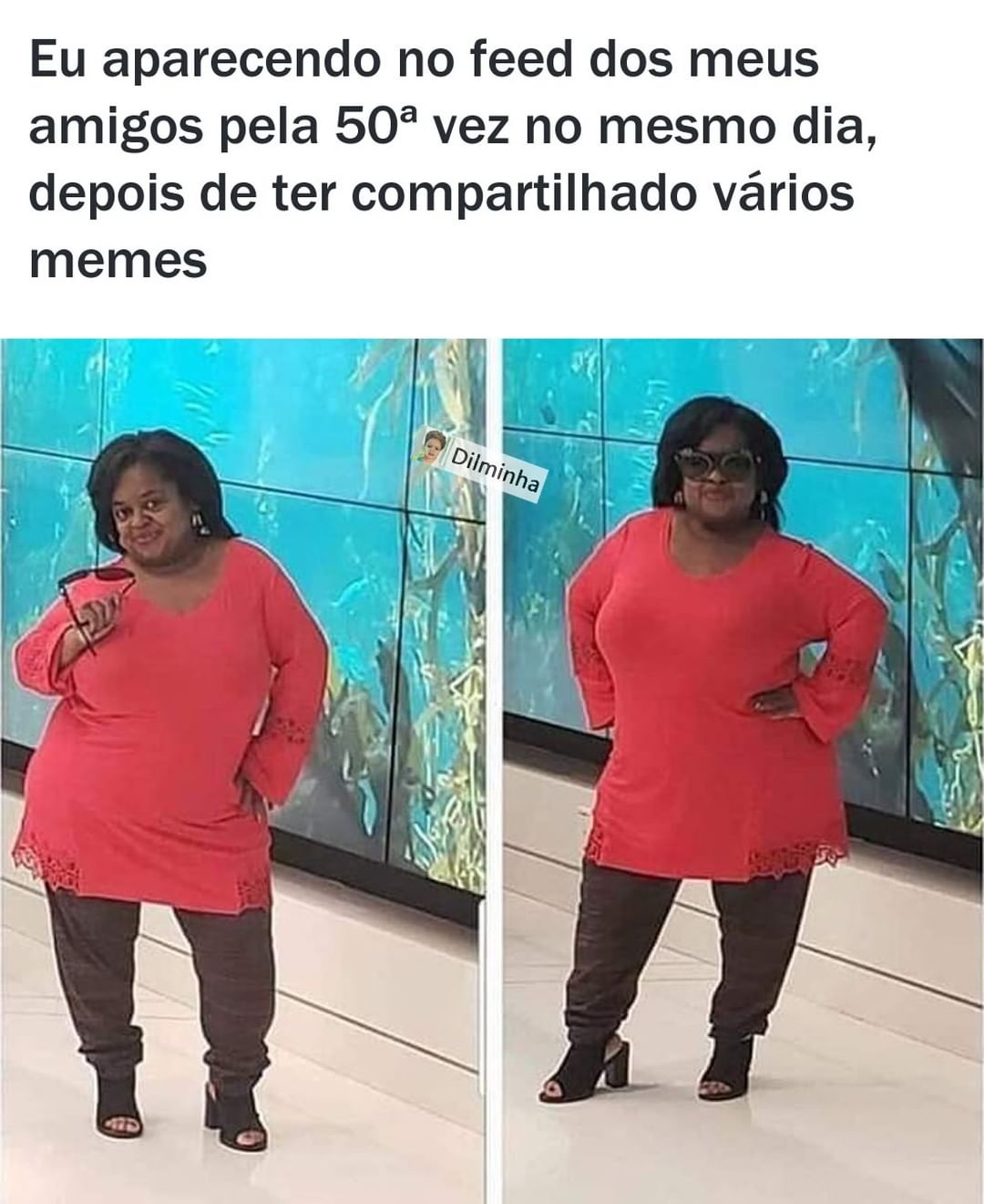 Eu aparecendo no feed dos meus amigos pela 50a vez no mesmo dia, depois de ter compartilhado vários memes.