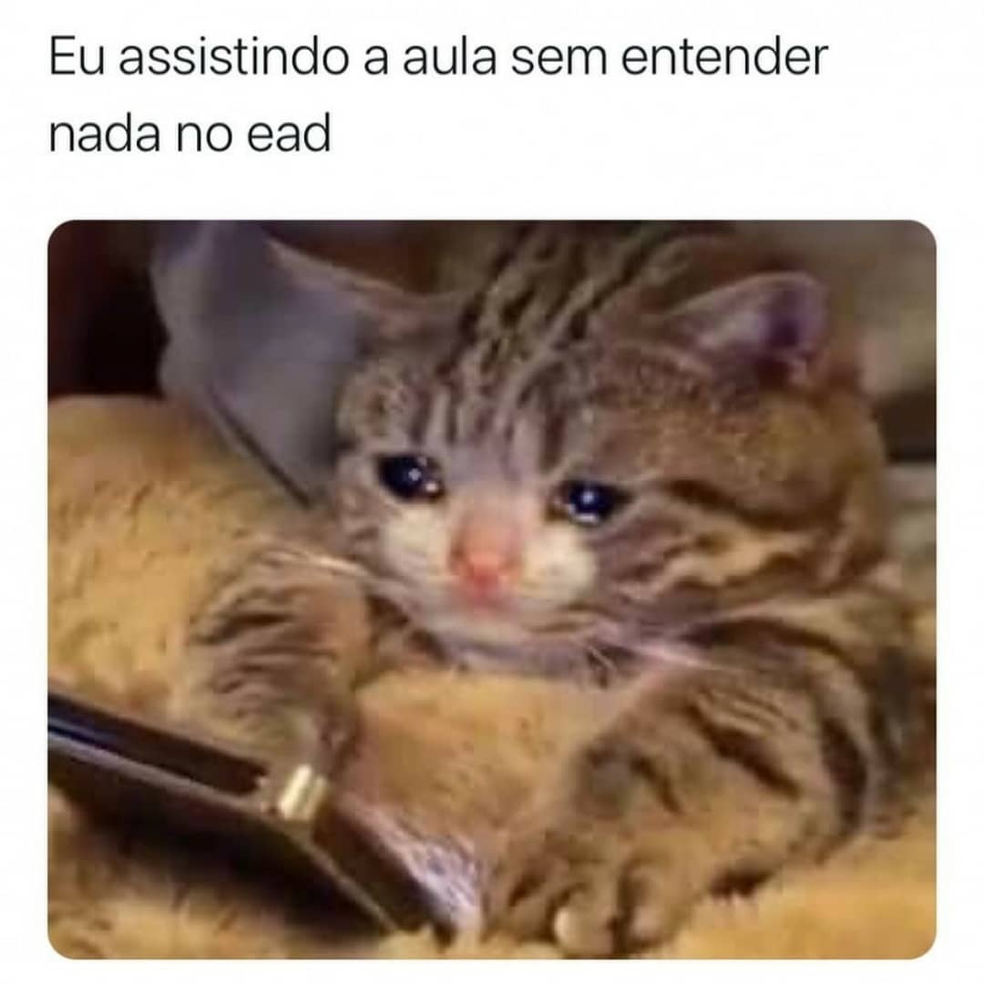 Eu assistindo a aula sem entender nada no ead.