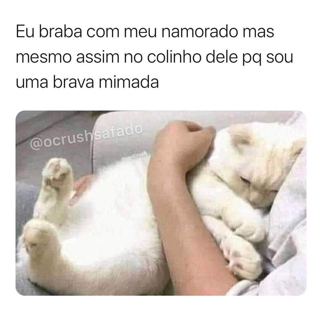 Eu braba com meu namorado mas mesmo assim no colinho dele pq sou uma brava mimada.