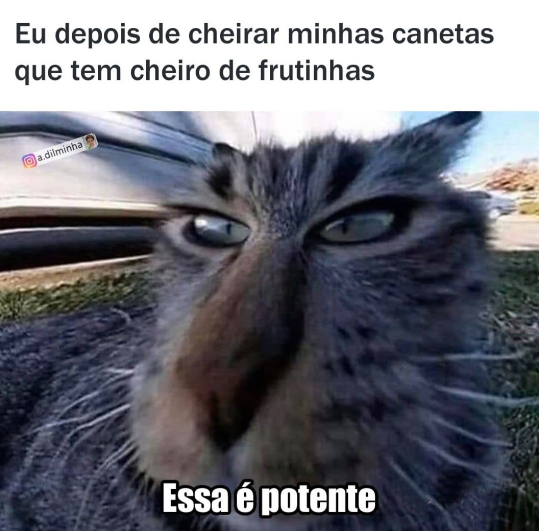 Véi Na Boa Deixa Eu Brincar Só Um Pouquinho Por Favor Memes