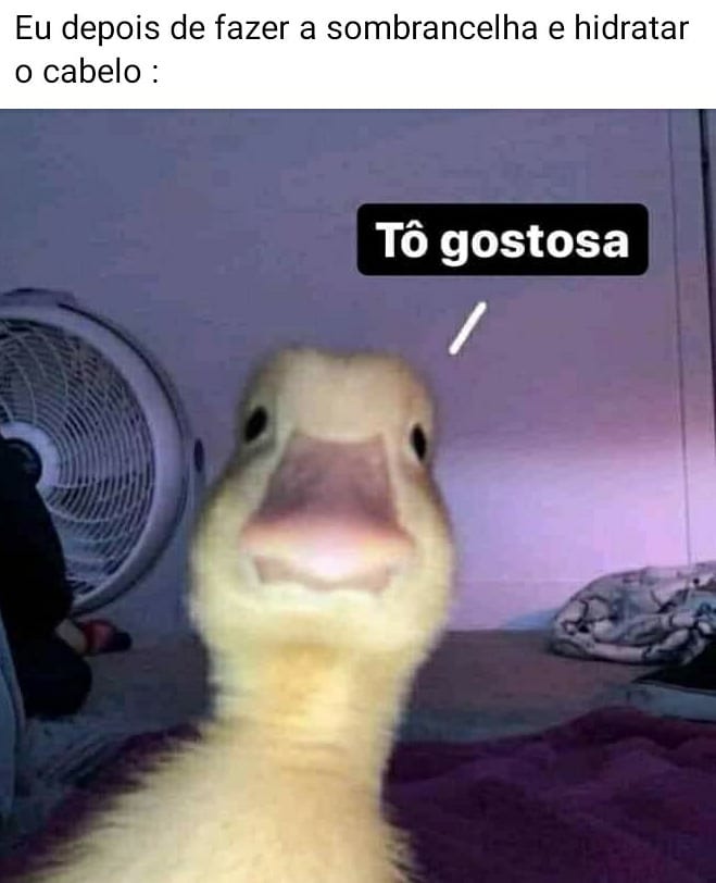 Eu depois de fazer a sombrancelha e hidratar o cabelo: Tô gostosa.