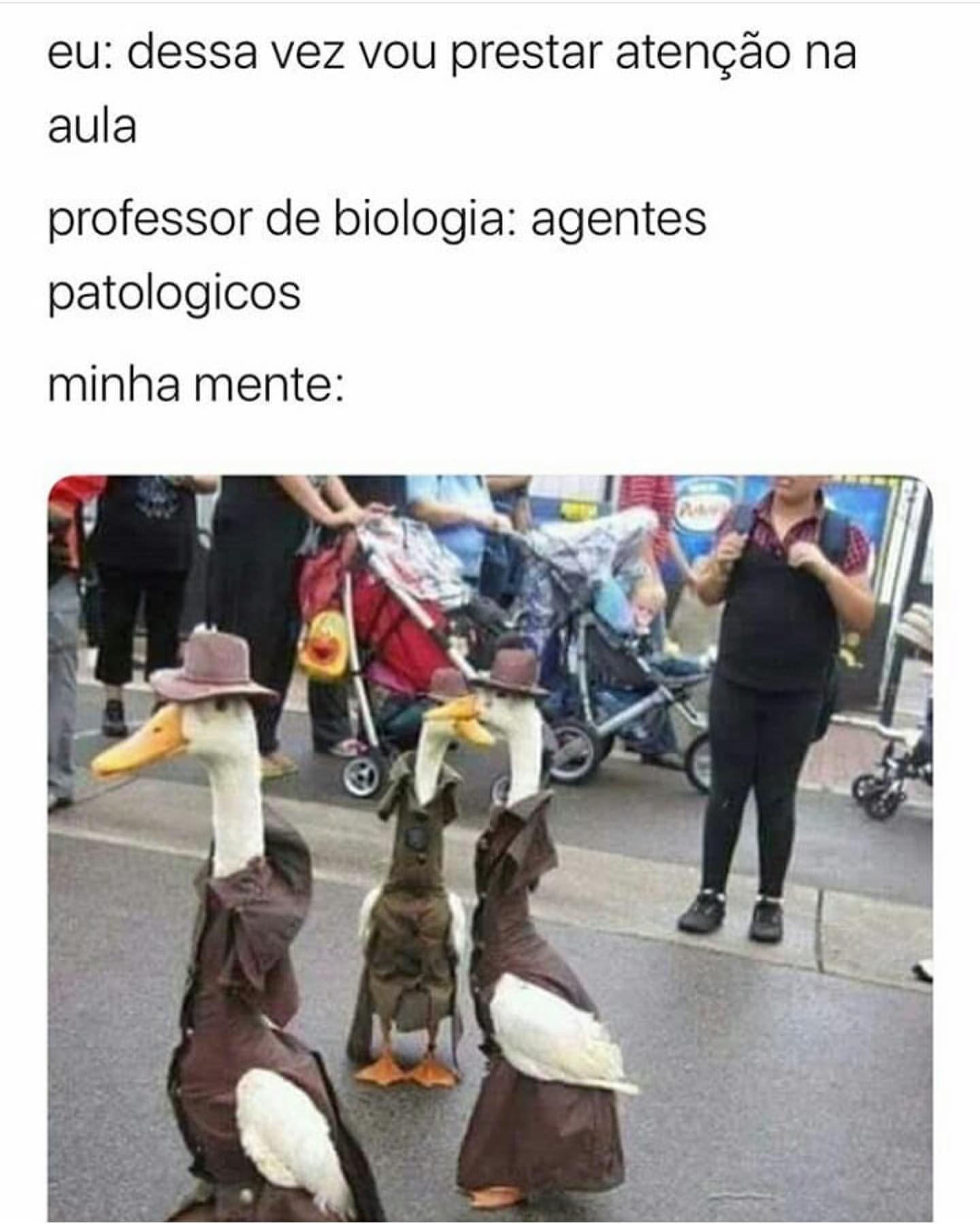 Eu: Dessa vez vou prestar atenção na aula professor de biologia: Agentes patológicos. Minha mente: