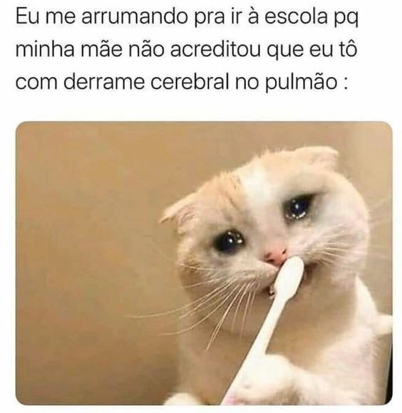 Eu me arrumando pra ir à escola pq minha mãe não acreditou que eu tô com derrame cerebral no pulmão.