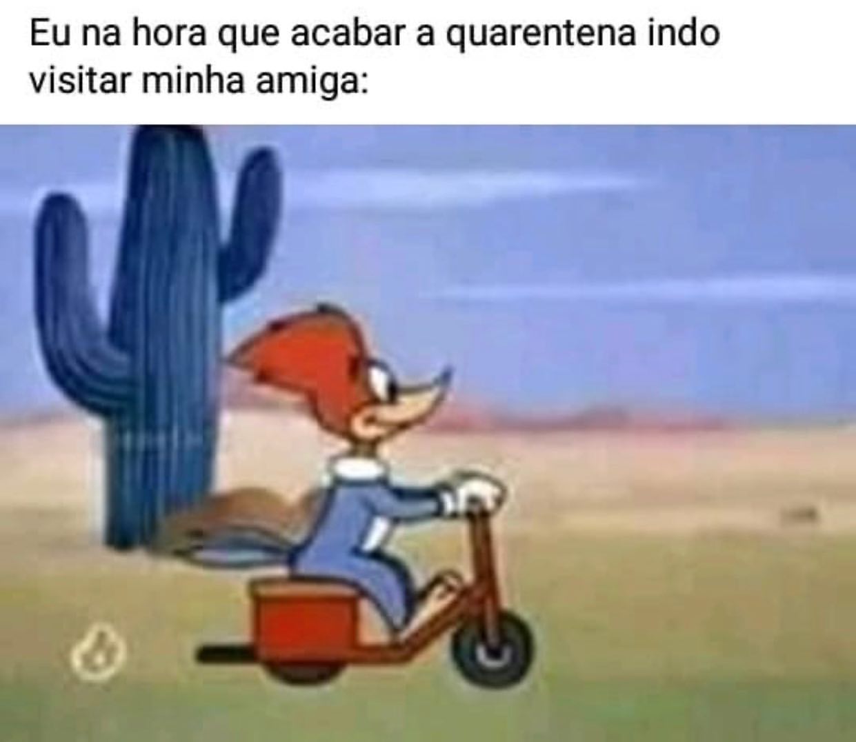 Eu na hora que acabar a quarentena indo visitar minha amiga: