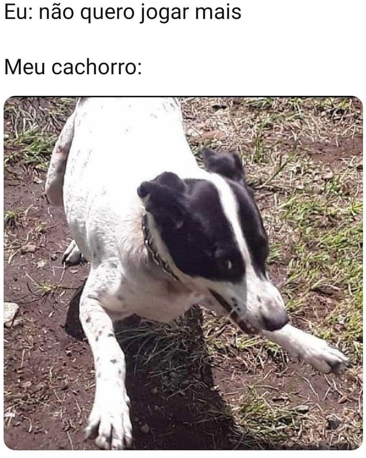 melhor forma de ganhar dinheiro no blaze