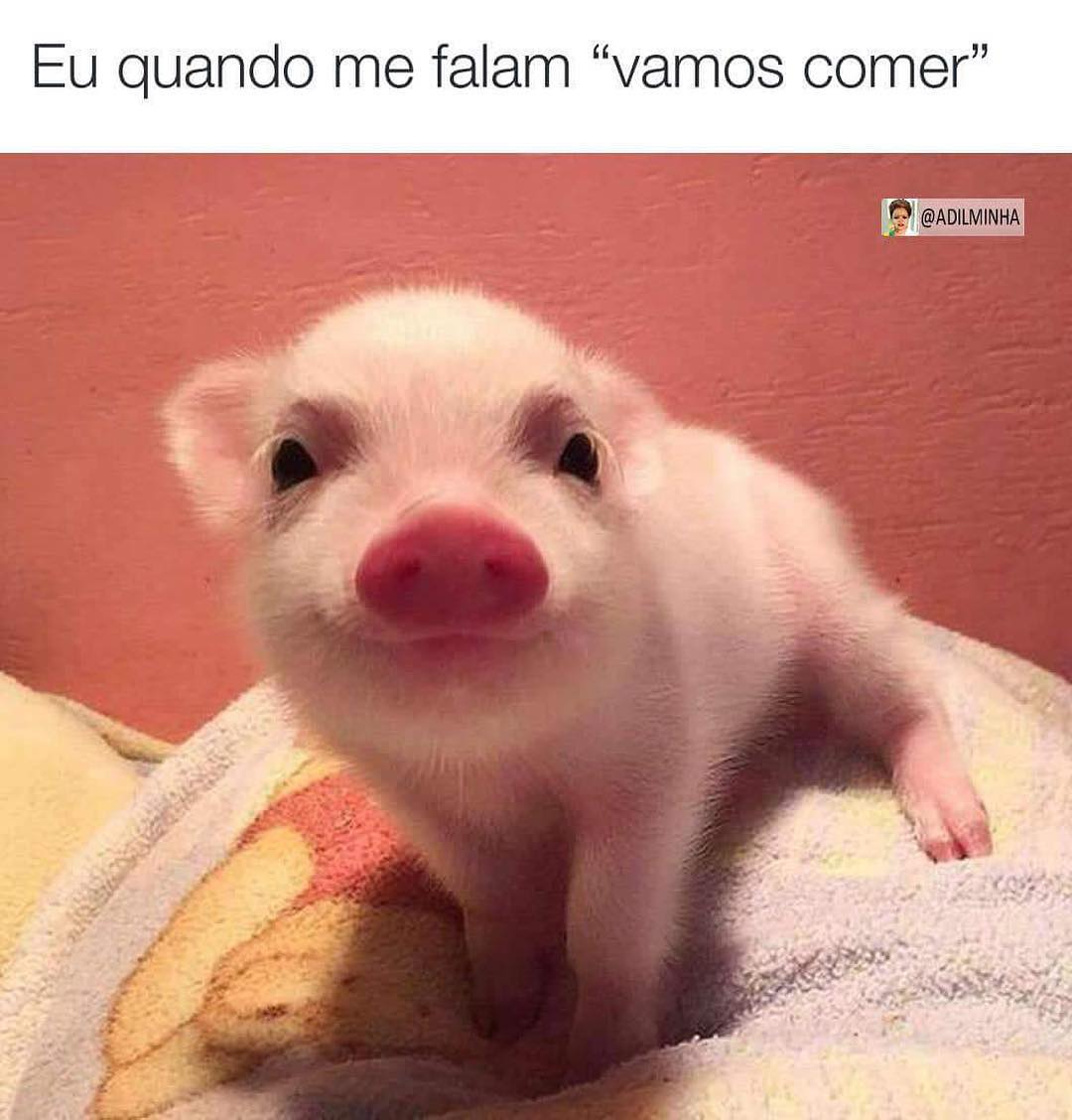 Eu Quando Me Falam Vamos Comer Memes 0250