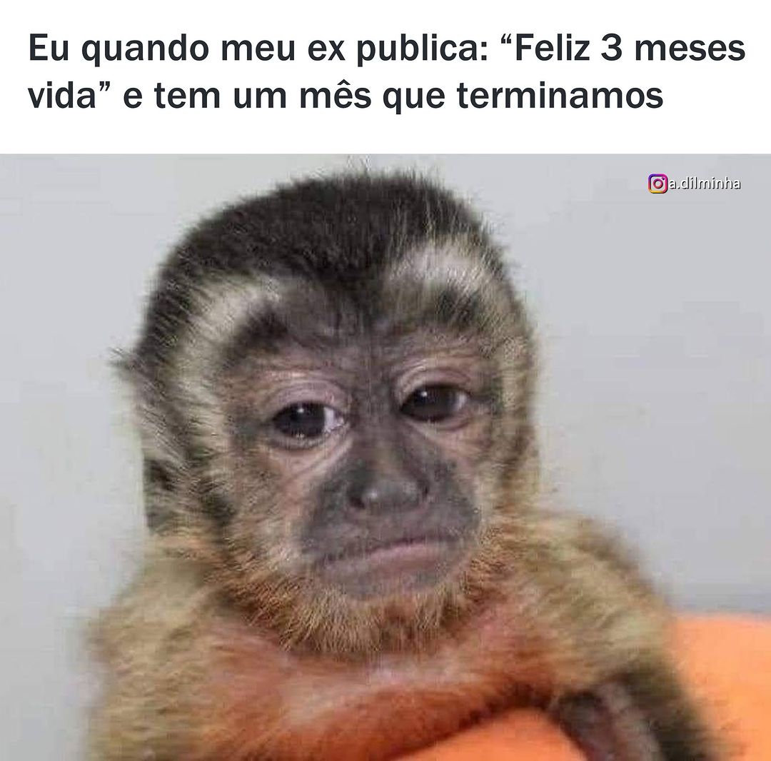 Eu quando meu ex publica: "Feliz 3 meses vida" e tem um mês que terminamos.