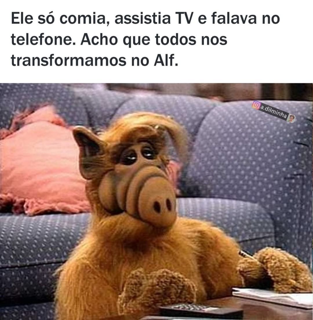 Eu só comia, assistia TV e falava no telefone. Acho que todos nos transformamos no Alf.