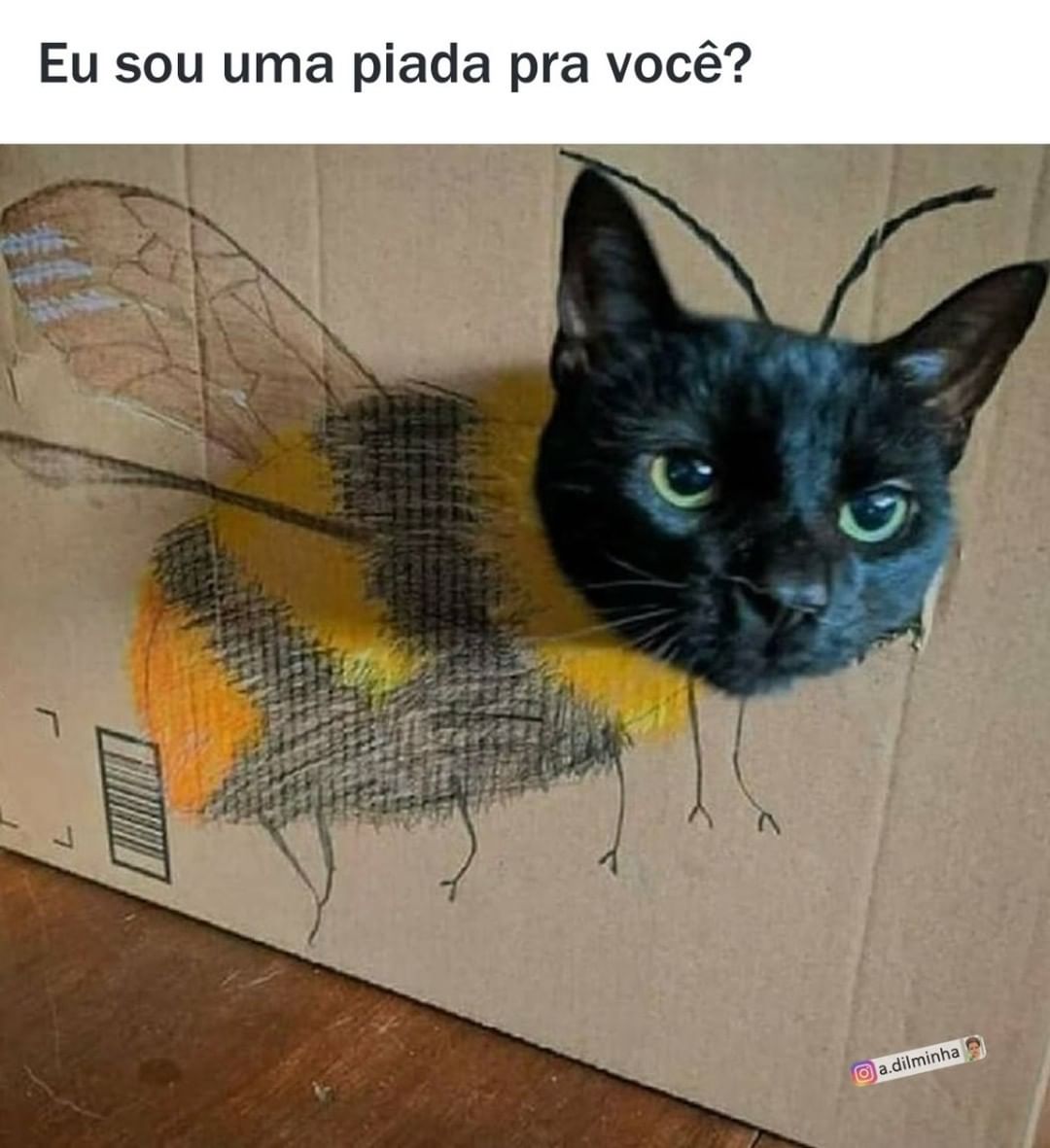 Eu sou uma piada pra você?