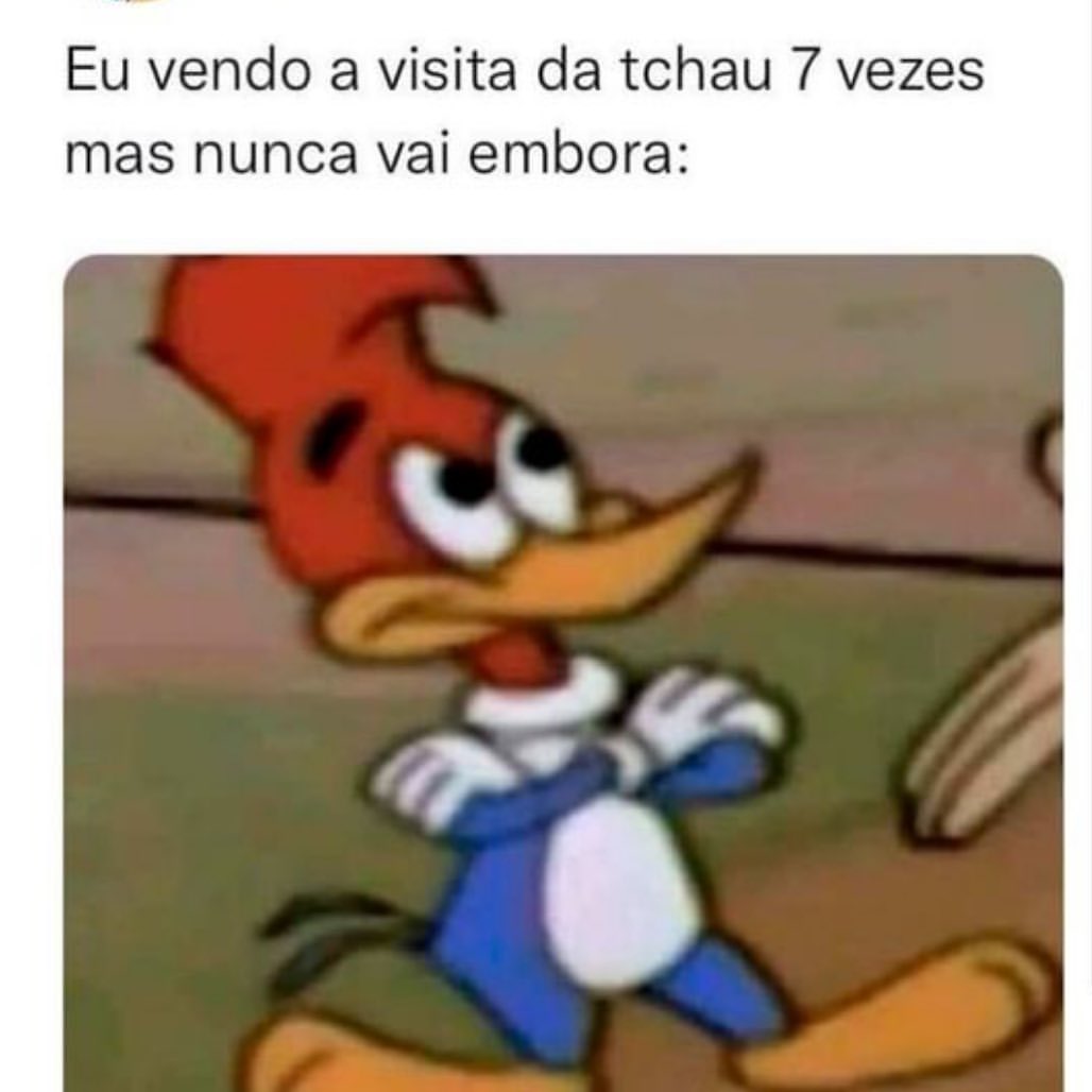 Eu vendo a visita da tchau 7 vezes mas nunca vai embora: