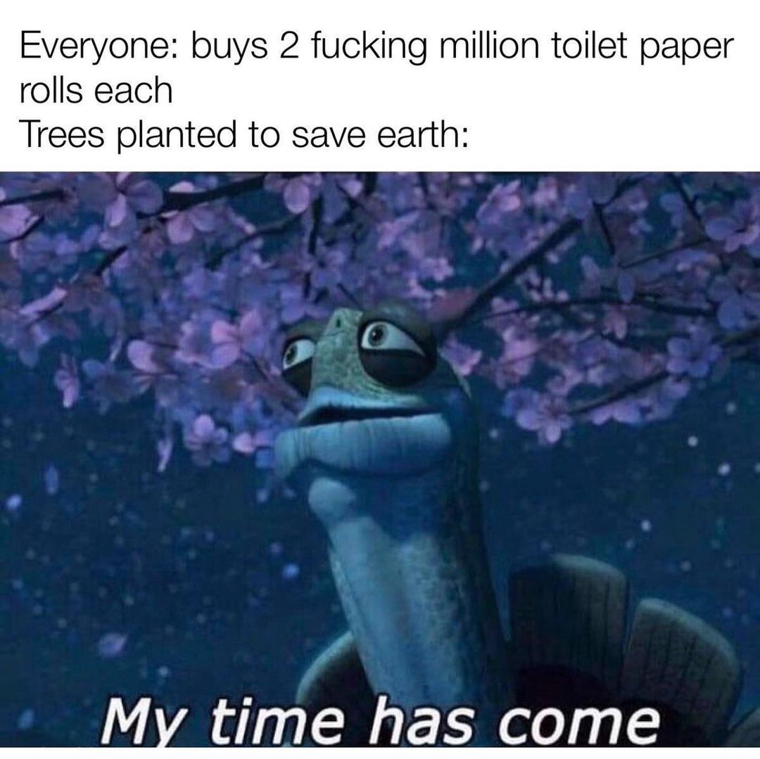 Everyone: buys 2 fucking million toilet paper rolls each. Trees planted to save earth: My time has come.